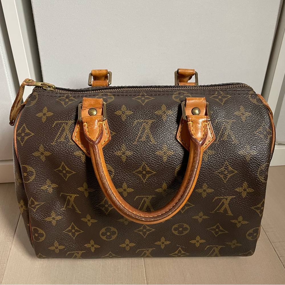 Louis Vuitton LV Speedy 25